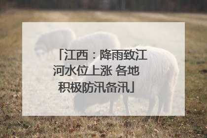 江西：降雨致江河水位上涨 各地积极防汛备汛