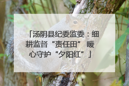 汤阴县纪委监委：细耕监督“责任田” 暖心守护“夕阳红”
