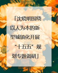 沈晓明围绕以人为本的新型城镇化开展“十五五”规划专题调研