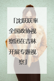 沈跃跃率全国政协视察团在吉林开展专题视察