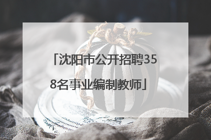 沈阳市公开招聘358名事业编制教师