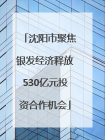 沈阳市聚焦银发经济释放530亿元投资合作机会