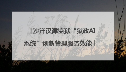 沙洋汉津监狱“狱政AI系统”创新管理服务效能