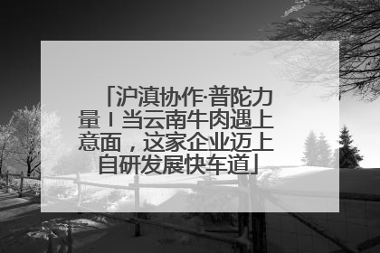 沪滇协作·普陀力量〡当云南牛肉遇上意面,这家企业迈上自研发展快车道