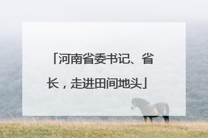 河南省委书记、省长，走进田间地头