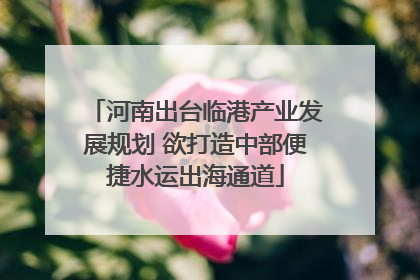 河南出台临港产业发展规划 欲打造中部便捷水运出海通道