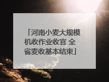 河南小麦大规模机收作业收官 全省麦收基本结束