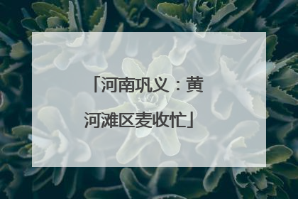 河南巩义：黄河滩区麦收忙