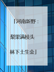 河南新野：梨果满枝头 林下土生金