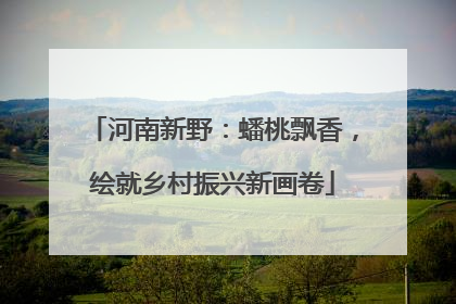 河南新野：蟠桃飘香，绘就乡村振兴新画卷