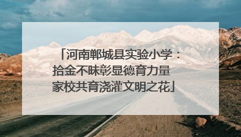 河南郸城县实验小学：拾金不昧彰显德育力量 家校共育浇灌文明之花