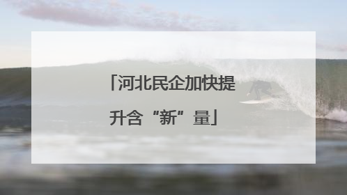 河北民企加快提升含“新”量