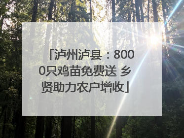泸州泸县：8000只鸡苗免费送 乡贤助力农户增收