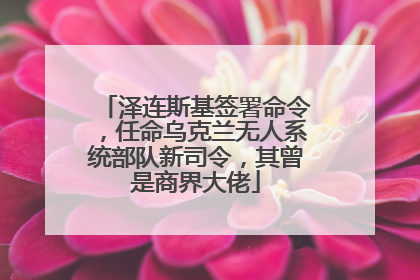 泽连斯基签署命令，任命乌克兰无人系统部队新司令，其曾是商界大佬