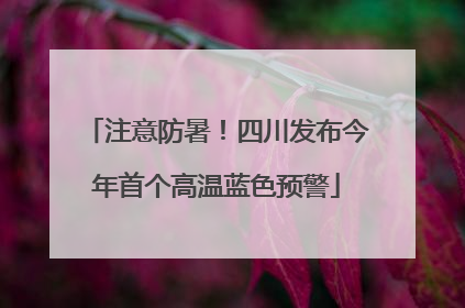 注意防暑！四川发布今年首个高温蓝色预警