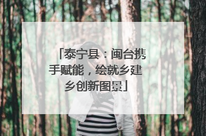 泰宁县：闽台携手赋能，绘就乡建乡创新图景