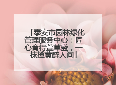 泰安市园林绿化管理服务中心：匠心育得萱草盛，一抹橙黄醉人间