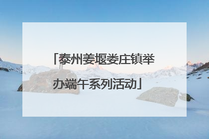 泰州姜堰娄庄镇举办端午系列活动