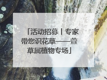 活动招募丨专家带您识花草——萱草属植物专场
