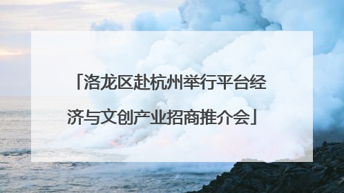 洛龙区赴杭州举行平台经济与文创产业招商推介会
