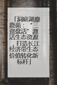 洞庭湖麋鹿苑：“三资盘活”激活生态资源，打造长江经济带生态价值转化新标杆