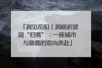 洞见岳阳丨洞庭碧波迎“归客”：一座城市与麋鹿的双向奔赴