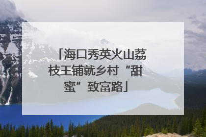 海口秀英火山荔枝王铺就乡村“甜蜜”致富路