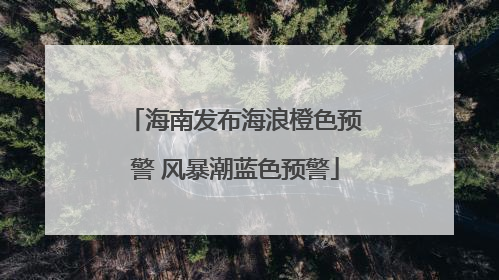 海南发布海浪橙色预警 风暴潮蓝色预警