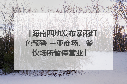 海南四地发布暴雨红色预警 三亚商场、餐饮场所暂停营业