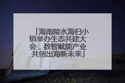 海南陵水海归小镇举办生态共建大会，数智赋能产业共创出海新未来