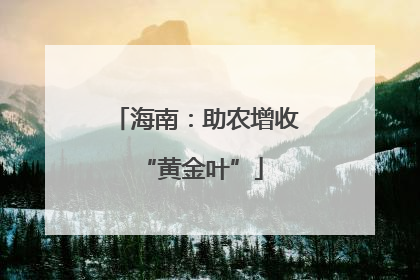 海南：助农增收 “黄金叶”