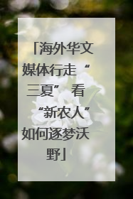 海外华文媒体行走“三夏” 看“新农人”如何逐梦沃野