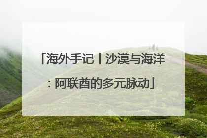 海外手记丨沙漠与海洋：阿联酋的多元脉动