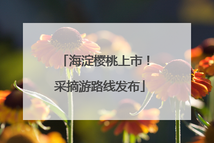海淀樱桃上市！采摘游路线发布