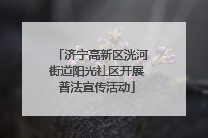 济宁高新区洸河街道阳光社区开展普法宣传活动