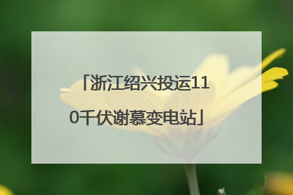 浙江绍兴投运110千伏谢慕变电站