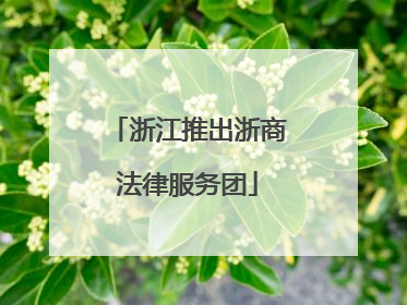 浙江推出浙商法律服务团