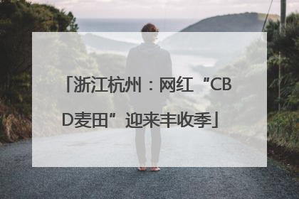 浙江杭州：网红“CBD麦田”迎来丰收季
