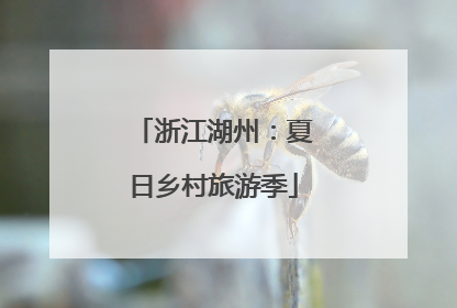 浙江湖州：夏日乡村旅游季