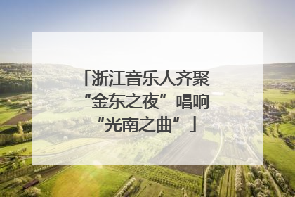 浙江音乐人齐聚“金东之夜”唱响“光南之曲”