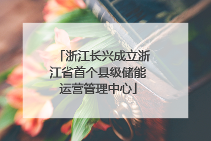 浙江长兴成立浙江省首个县级储能运营管理中心
