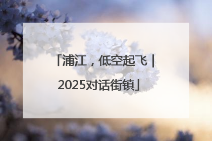 浦江，低空起飞｜2025对话街镇