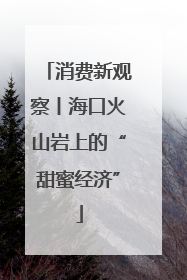 消费新观察丨海口火山岩上的“甜蜜经济”