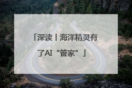 深读丨海洋精灵有了AI“管家”