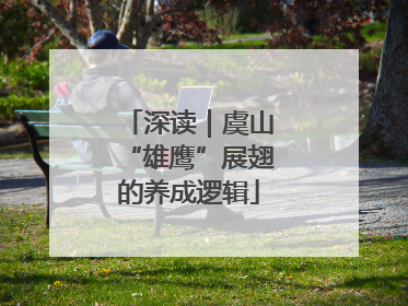 深读｜虞山“雄鹰”展翅的养成逻辑