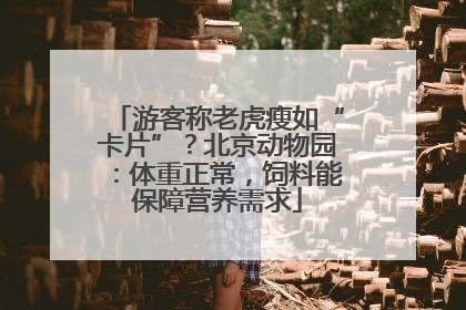 游客称老虎瘦如“卡片”？北京动物园：体重正常，饲料能保障营养需求