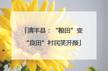 清丰县：“粮田”变“良田”村民笑开颜