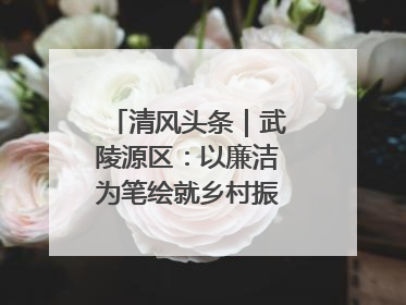 清风头条｜武陵源区：以廉洁为笔绘就乡村振兴新画卷