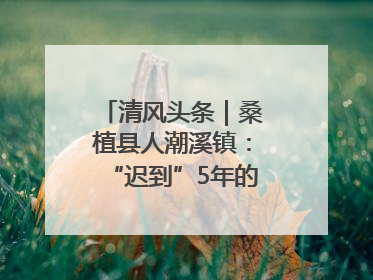 清风头条｜桑植县人潮溪镇：“迟到”5年的生态林补偿金