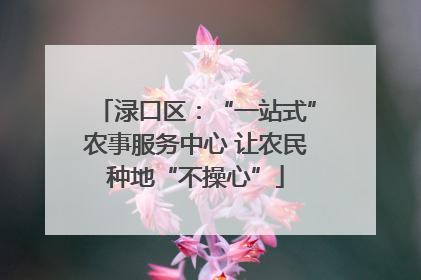 渌口区：“一站式”农事服务中心 让农民种地“不操心”